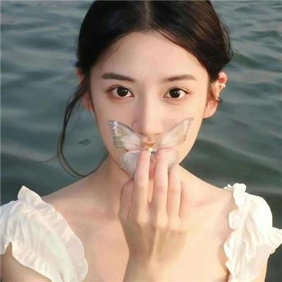 魅力航班